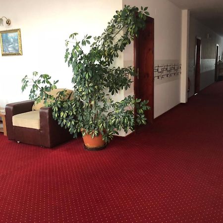 Pension Rozeclas Орадя Экстерьер фото