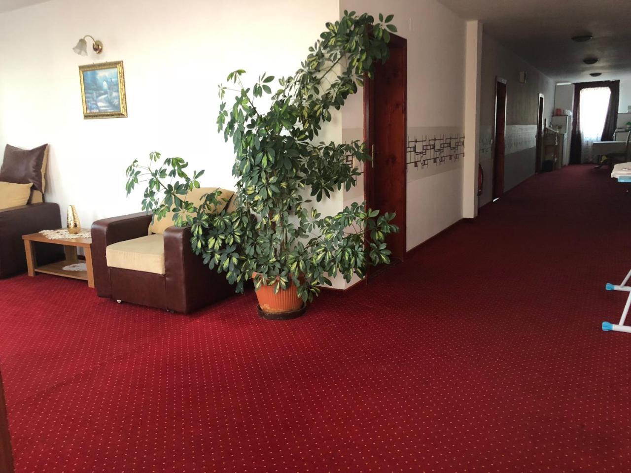 Pension Rozeclas Орадя Экстерьер фото
